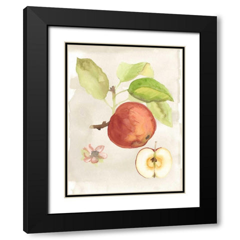 Watercolor Fruit IV Black Modern Wood Framed Art Print with Double Matting by McCavitt, Naomi