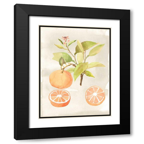 Watercolor Fruit V Black Modern Wood Framed Art Print with Double Matting by McCavitt, Naomi
