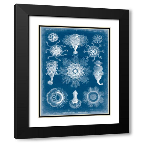 Marine Blueprint I Black Modern Wood Framed Art Print with Double Matting by Vision Studio