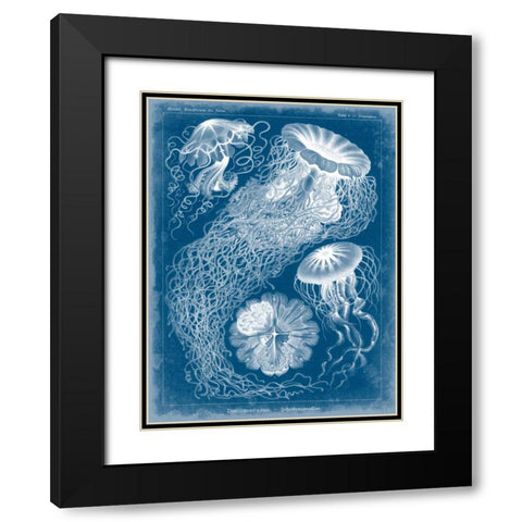 Marine Blueprint II Black Modern Wood Framed Art Print with Double Matting by Vision Studio