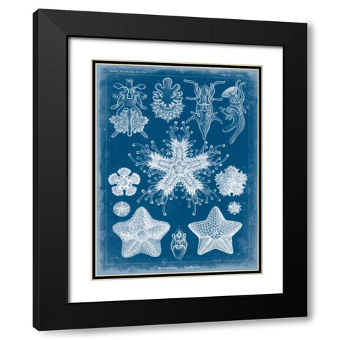 Marine Blueprint III Black Modern Wood Framed Art Print with Double Matting by Vision Studio