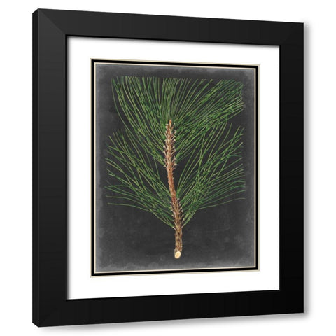 Dramatic Pine I Black Modern Wood Framed Art Print with Double Matting by Vision Studio