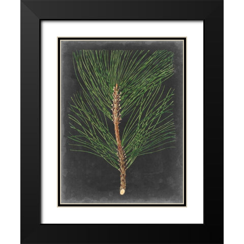 Dramatic Pine I Black Modern Wood Framed Art Print with Double Matting by Vision Studio