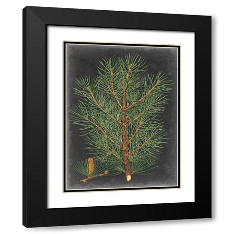 Dramatic Pine II Black Modern Wood Framed Art Print with Double Matting by Vision Studio