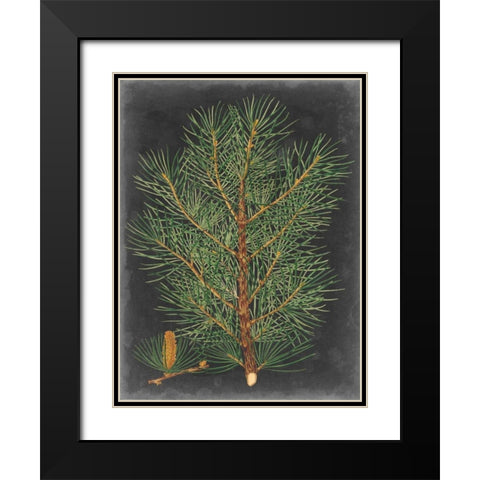 Dramatic Pine II Black Modern Wood Framed Art Print with Double Matting by Vision Studio