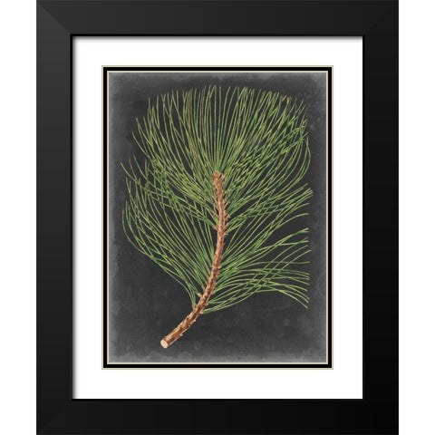 Dramatic Pine III Black Modern Wood Framed Art Print with Double Matting by Vision Studio