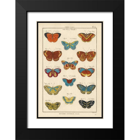 Histoire Naturelle Butterflies I Black Modern Wood Framed Art Print with Double Matting by Unknown