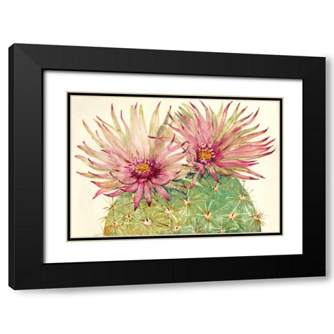 Cactus Blossoms I Black Modern Wood Framed Art Print with Double Matting by OToole, Tim