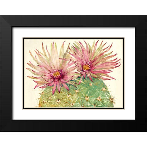 Cactus Blossoms I Black Modern Wood Framed Art Print with Double Matting by OToole, Tim