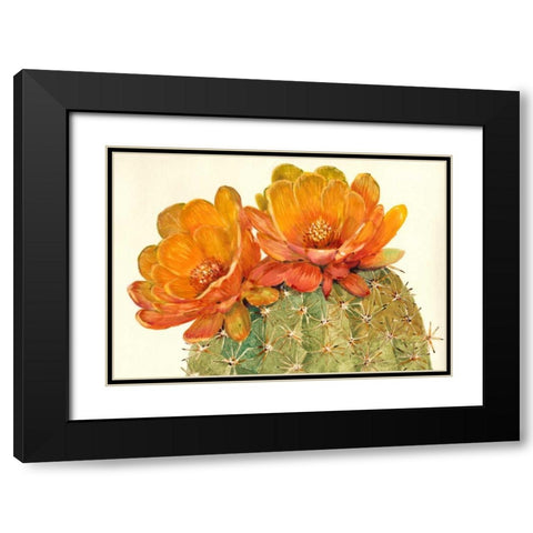 Cactus Blossoms II Black Modern Wood Framed Art Print with Double Matting by OToole, Tim