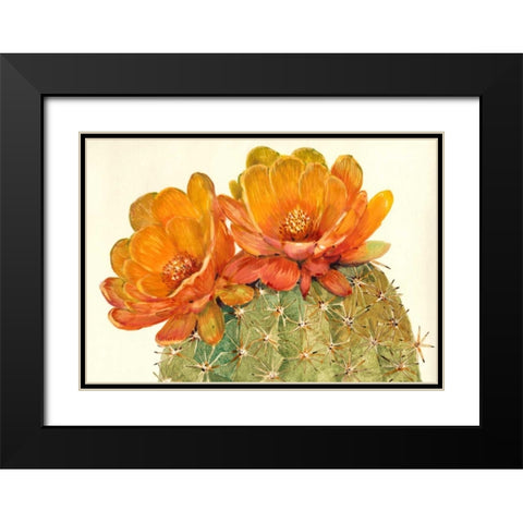 Cactus Blossoms II Black Modern Wood Framed Art Print with Double Matting by OToole, Tim