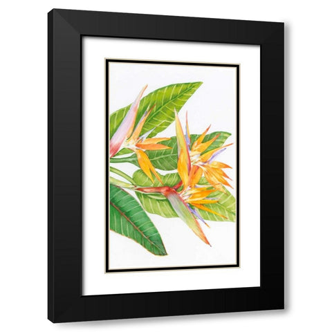 Exotic Flowers II Black Modern Wood Framed Art Print with Double Matting by OToole, Tim