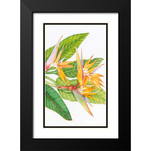 Exotic Flowers II Black Modern Wood Framed Art Print with Double Matting by OToole, Tim