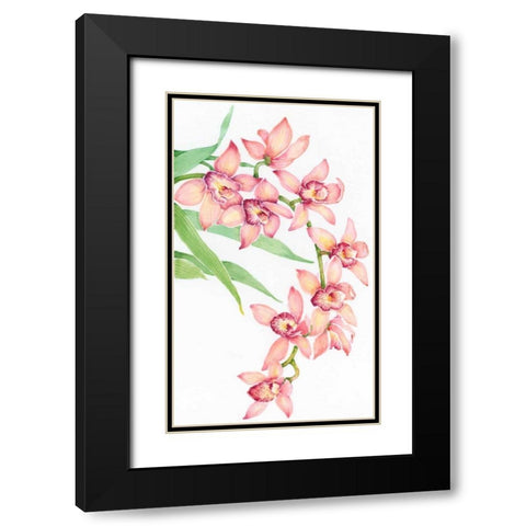 Exotic Flowers III Black Modern Wood Framed Art Print with Double Matting by OToole, Tim
