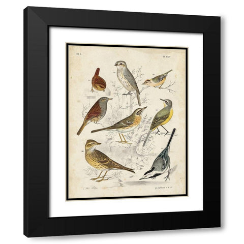 Custom Gathering of Birds I (ASH) Black Modern Wood Framed Art Print with Double Matting by Lubbert, G.
