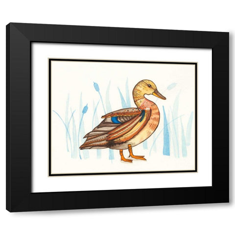 Wetland Mallard II Black Modern Wood Framed Art Print with Double Matting by Ewer, Rebekah