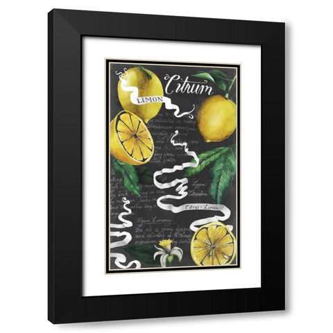 Chalkboard Citrus I Black Modern Wood Framed Art Print with Double Matting by Popp, Grace
