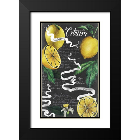 Chalkboard Citrus I Black Modern Wood Framed Art Print with Double Matting by Popp, Grace