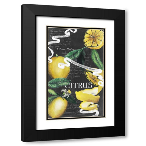 Chalkboard Citrus II Black Modern Wood Framed Art Print with Double Matting by Popp, Grace