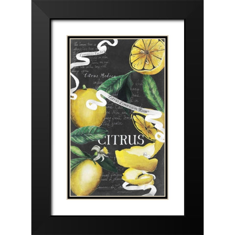 Chalkboard Citrus II Black Modern Wood Framed Art Print with Double Matting by Popp, Grace