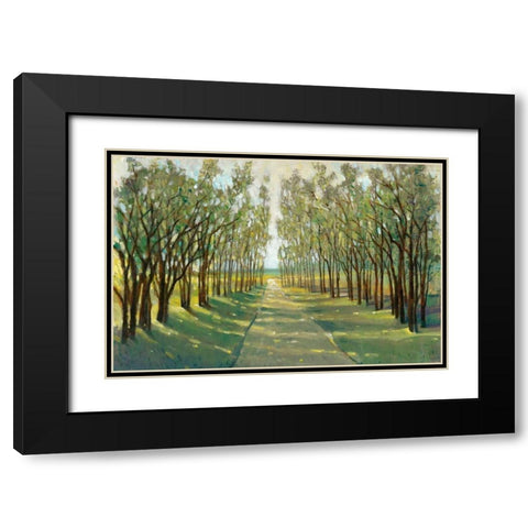 Forest Path Black Modern Wood Framed Art Print with Double Matting by OToole, Tim