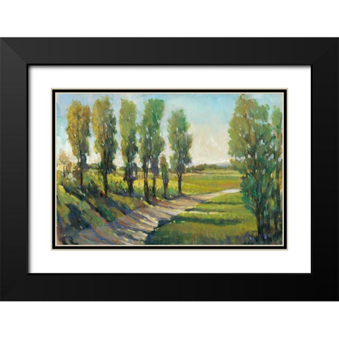 Lush Landscape I Black Modern Wood Framed Art Print with Double Matting by OToole, Tim