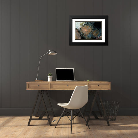 Flowering Grace - Indonesia Black Modern Wood Framed Art Print with Double Matting by Factor, Beverly