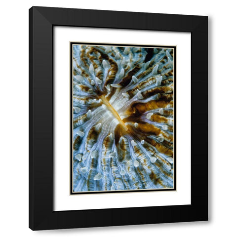 Interlude - Papua New Guinea Black Modern Wood Framed Art Print with Double Matting by Factor, Beverly