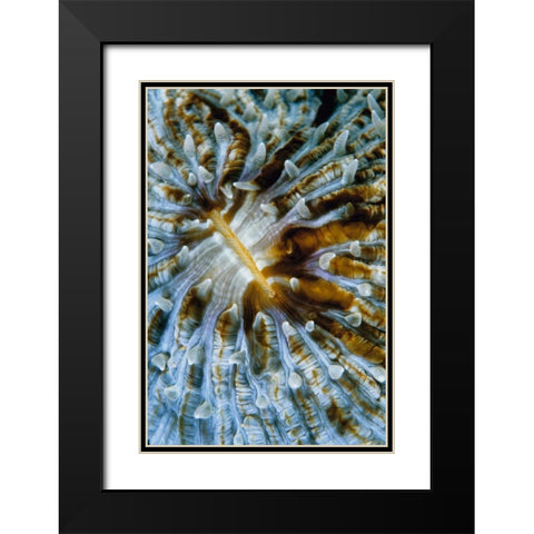 Interlude - Papua New Guinea Black Modern Wood Framed Art Print with Double Matting by Factor, Beverly