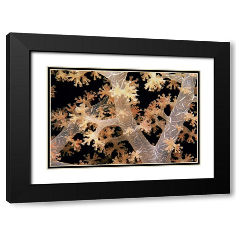Splendid Branches - Fiji Black Modern Wood Framed Art Print with Double Matting by Factor, Beverly