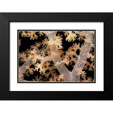 Splendid Branches - Fiji Black Modern Wood Framed Art Print with Double Matting by Factor, Beverly