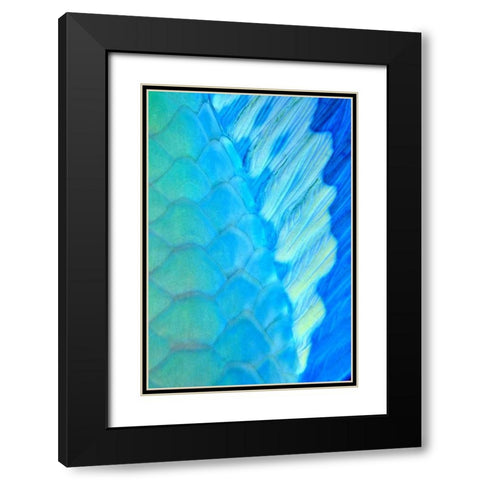 Solace - La Paz, Mexico Black Modern Wood Framed Art Print with Double Matting by Factor, Beverly