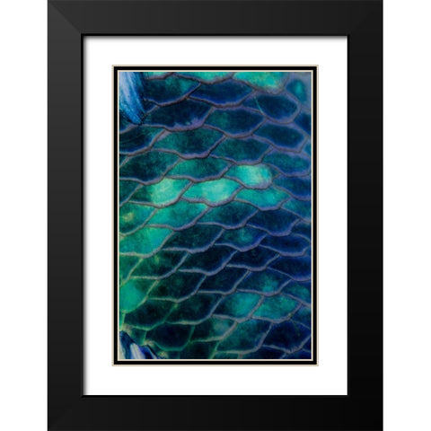 Ripples - Malaysia Black Modern Wood Framed Art Print with Double Matting by Factor, Beverly