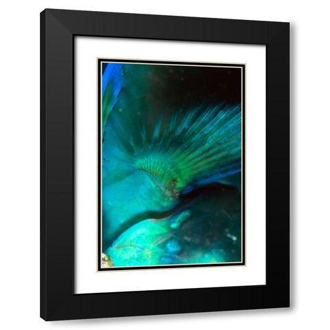 Finality - Australia Black Modern Wood Framed Art Print with Double Matting by Factor, Beverly