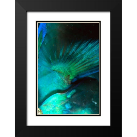 Finality - Australia Black Modern Wood Framed Art Print with Double Matting by Factor, Beverly