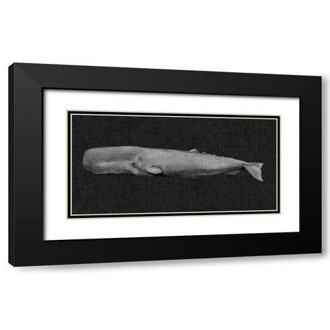 Inverted Whale I Black Modern Wood Framed Art Print with Double Matting by Popp, Grace