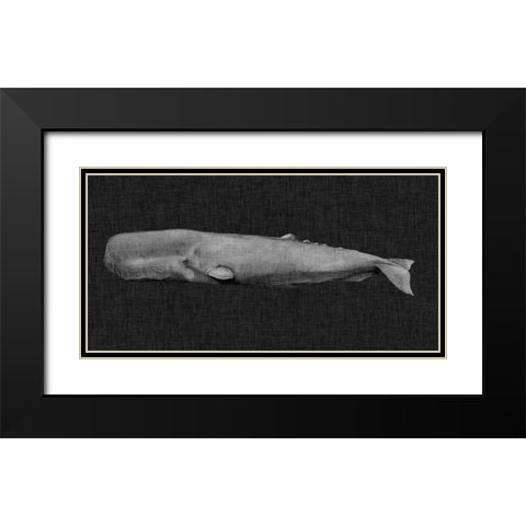 Inverted Whale I Black Modern Wood Framed Art Print with Double Matting by Popp, Grace