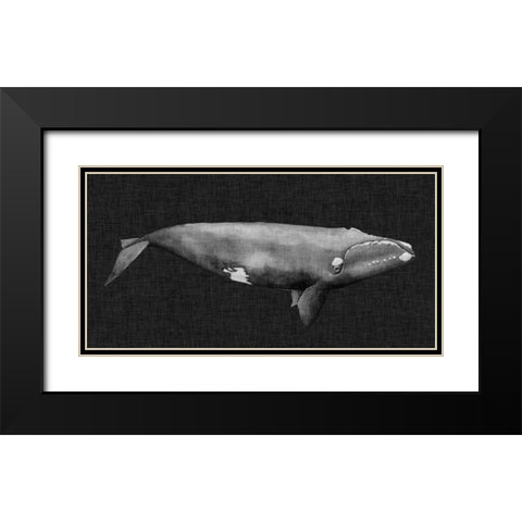 Inverted Whale II Black Modern Wood Framed Art Print with Double Matting by Popp, Grace