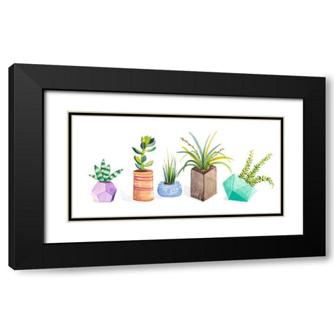 Succulent Display I Black Modern Wood Framed Art Print with Double Matting by Ewer, Rebekah