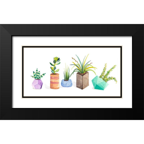 Succulent Display I Black Modern Wood Framed Art Print with Double Matting by Ewer, Rebekah