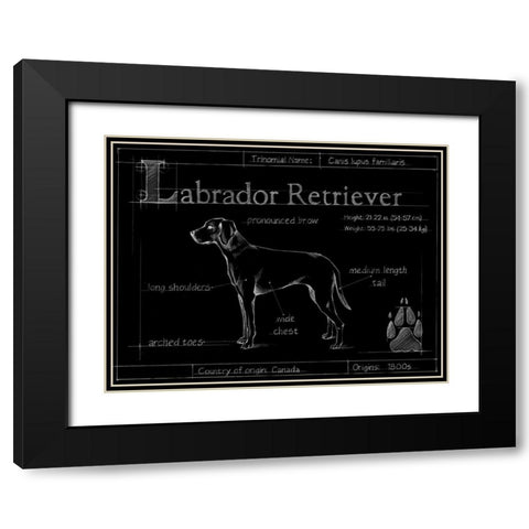 Blueprint Labrador Retriever Black Modern Wood Framed Art Print with Double Matting by Ethan Harper