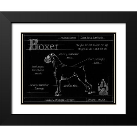 Blueprint Boxer Black Modern Wood Framed Art Print with Double Matting by Ethan Harper
