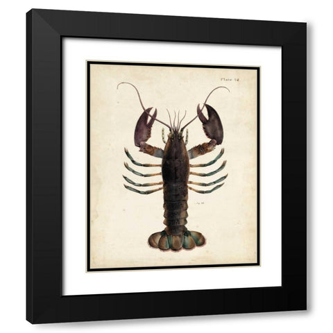 Vintage Lobster Black Modern Wood Framed Art Print with Double Matting by Dekay