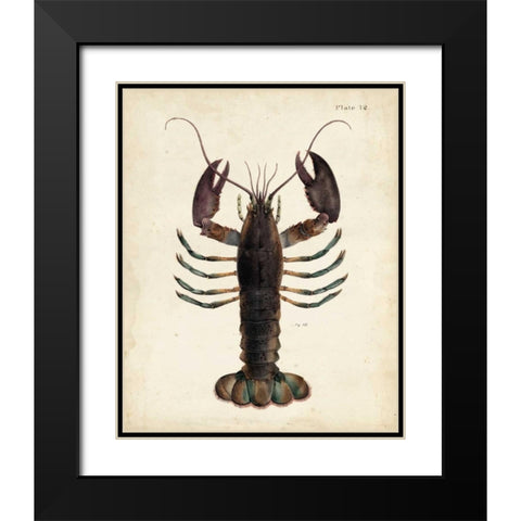 Vintage Lobster Black Modern Wood Framed Art Print with Double Matting by Dekay