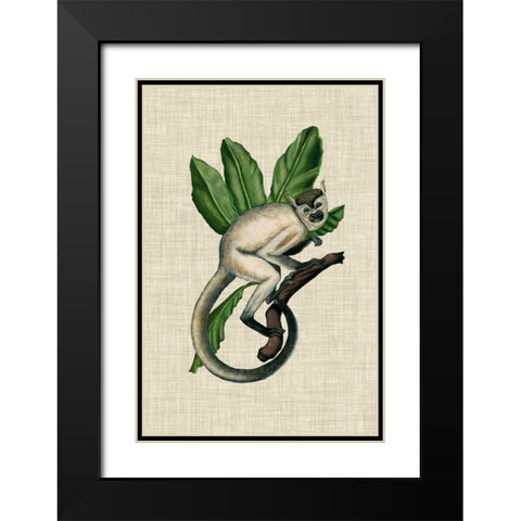 Canopy Monkey IV Black Modern Wood Framed Art Print with Double Matting by McCavitt, Naomi