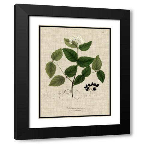 Linen and Leaves I Black Modern Wood Framed Art Print with Double Matting by Vision Studio