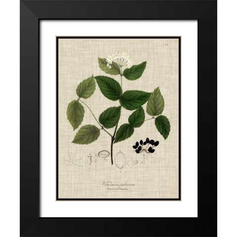 Linen and Leaves I Black Modern Wood Framed Art Print with Double Matting by Vision Studio