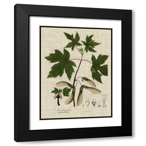 Linen and Leaves II Black Modern Wood Framed Art Print with Double Matting by Vision Studio