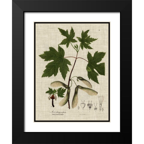 Linen and Leaves II Black Modern Wood Framed Art Print with Double Matting by Vision Studio