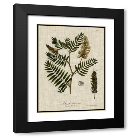 Linen and Leaves III Black Modern Wood Framed Art Print with Double Matting by Vision Studio